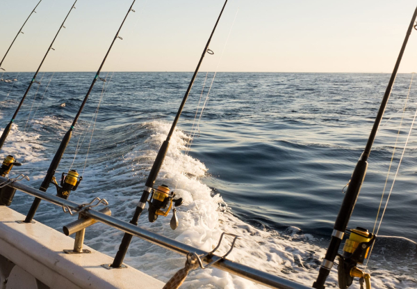 Full Day Fishing Trip Pass incl. Rod Hire