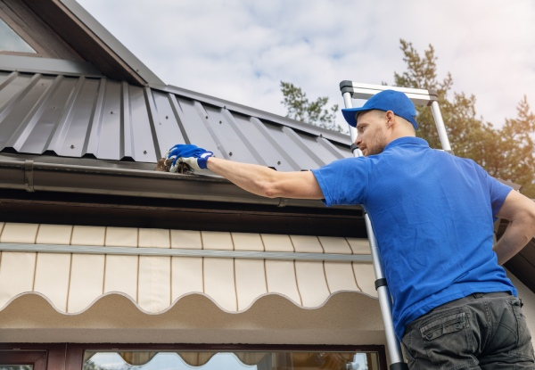Gutter Cleaning for Houses up to 160m2 - Option for House up to 240m2