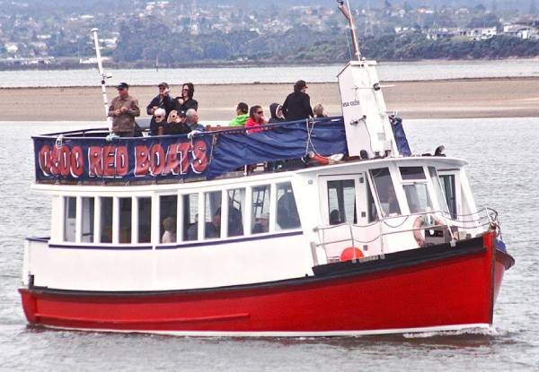 2-Hour Nightlight Harbour Cruise for One Person incl. Drink & Finger Food