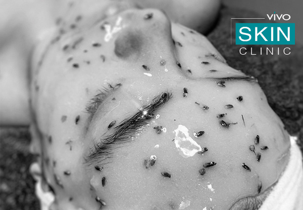 Hydrojelly Customised Facial, incl. Neck Shoulder & Decolatage Massage - Option to incl. Brow Shape, Brow & Tint or Brow Shape, Brow Tint & Lash Tint