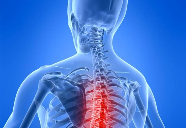 $29 for One Chiropractic Sessions incl. a Comprehensive
Consultation, Posture Analysis, & Spinal Motion or $34 for Two (value up to $255)
