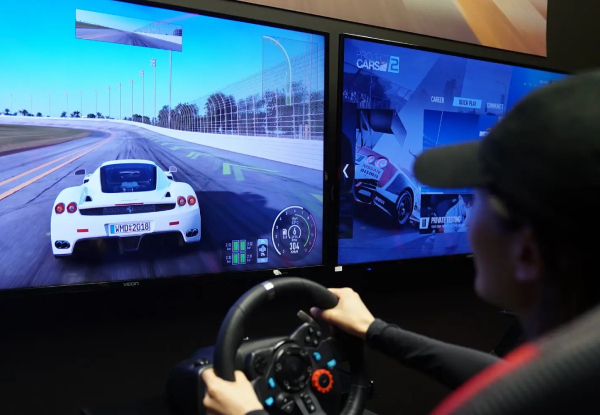 Race Car Simulator at Thrillzone Queenstown from $45