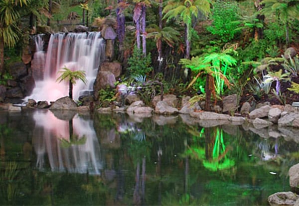 $13 for One Child Pass or $25 for One Adult Pass to Rainbow Springs (value up to $40)
