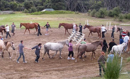 Dune Lakes Lodge-Auckland's West Coast Retreat & Equine Centre