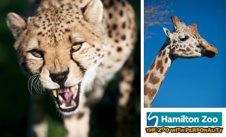 Hamilton Zoo