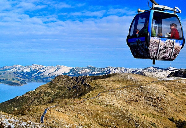 Adult Ticket for Christchurch's Sightseeing Gondola Experience