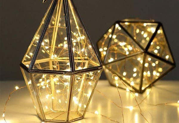 $8 for Two Decorative LED Wire Seed Light Sets or $16 for Four Sets