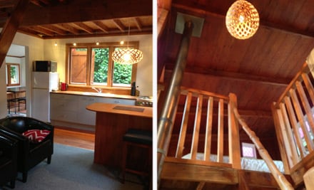 The Coromandel Treehouse