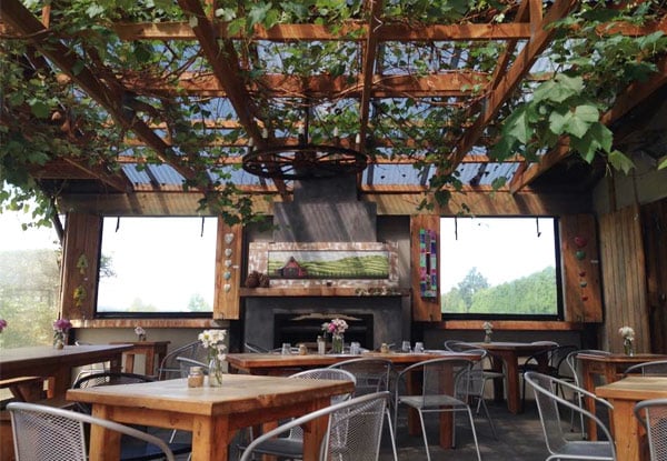 LilyPad Cafe