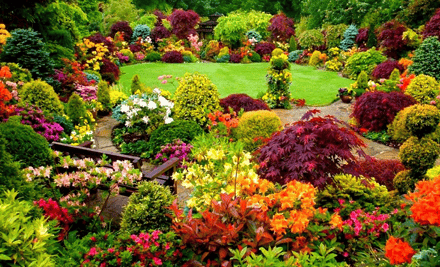 Palmers Gardenworld Whangarei