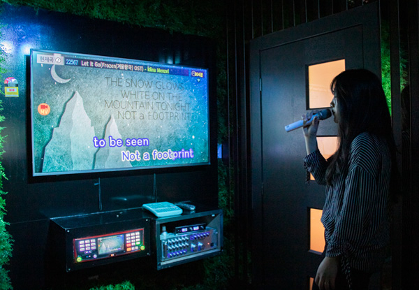 Metrolanes Karaoke Experience incl. Sharing Platter & Drinks - Options for up to Five People or for a Premium Karaoke Package for up to Ten People