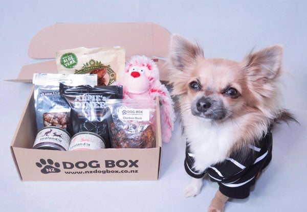 NZ DOG BOX Surprise Box - Three Options Available