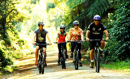 Pencarrow Lakes and Lighthouses Explorer Bike Hire and Shuttles