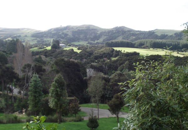 YMCA Wainui Park Camp