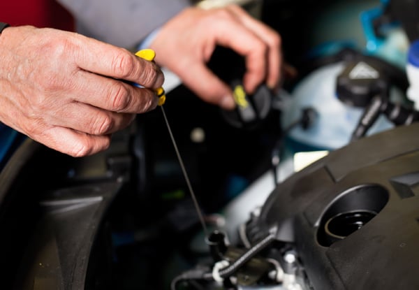 $79 for an Extensive Safety Check, Comprehensive Service & Warrant of Fitness (value up to $249)
