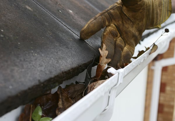 Yates Roof & Gutter Care