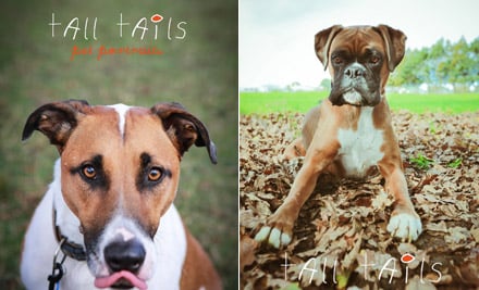 Tall Tails