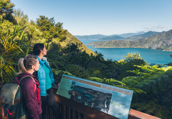 Queen Charlotte Track Day Walk with Cougar Line Cruise Transfers - Walk Ship Cove/Meretoto to Furneaux Lodge - Options for Adult or Child