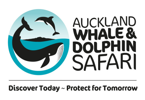Auckland Whale & Dolphin Safari