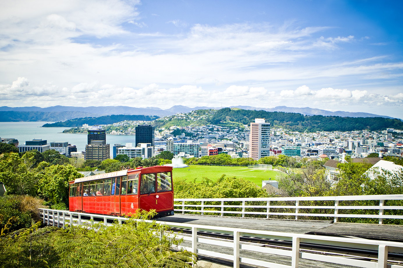 Hammonds Wellington Tours