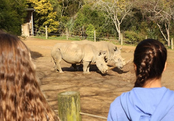 Annual Pass for the Hamilton Zoo - Five Options Available