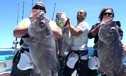 Cook Strait Fishing Charters