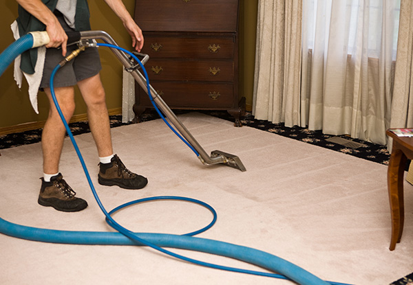 Local Carpet Cleaner