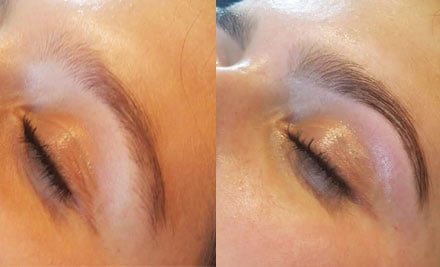$28 for an Eyebrow Revolution Treatment & a $15 Return Voucher (value up to $60)
