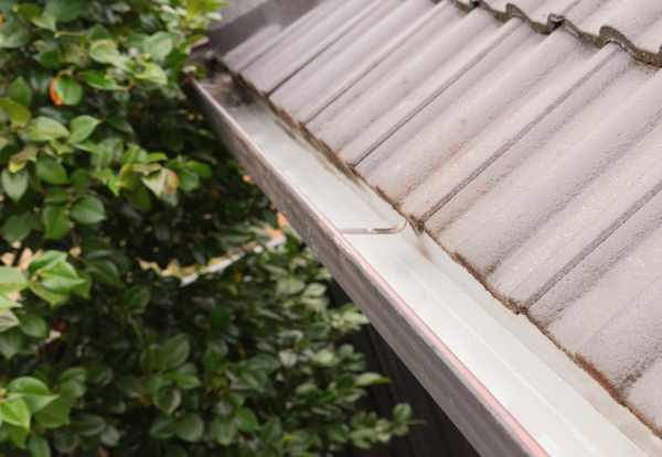 Professional Home Gutter Cleaning Service for a Single-Level Residential Dwelling - Option to include Garage