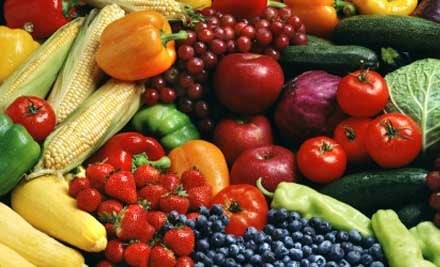 Organic Promotions Ltd