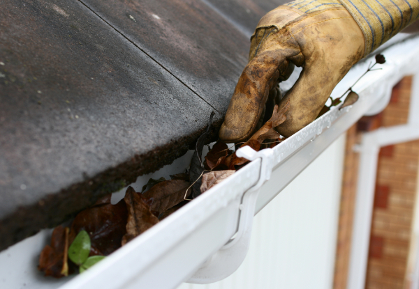 The Gutter Guy