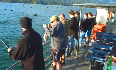 Mussel Barge Snapper Safaris