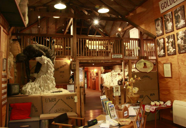 The Wool Shed