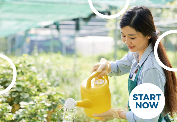 Gardening Online Certificate Course - Option for Garden Maintenance or Gardening & Lawn Care