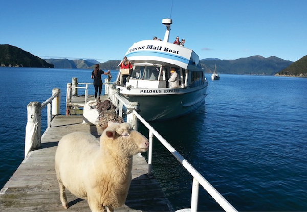 Marlborough Tour Company