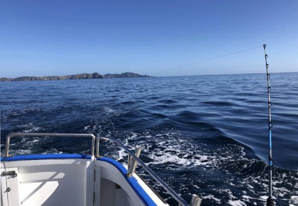 Doubtless Bay Charters