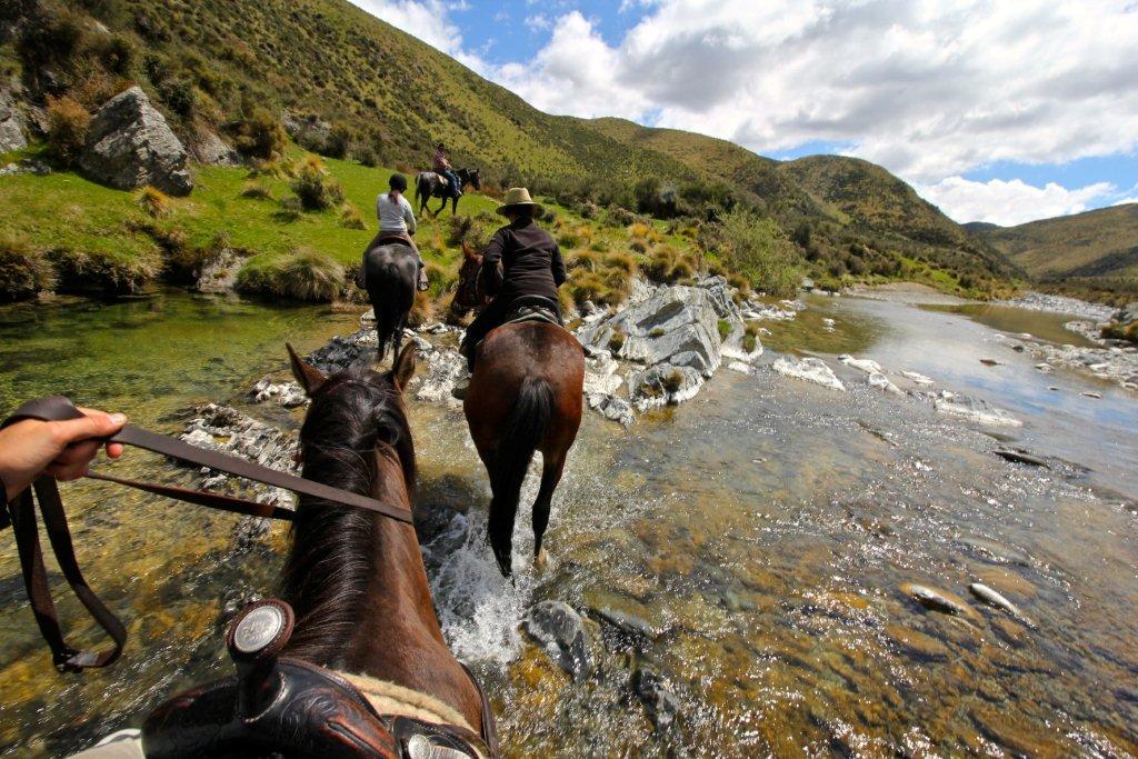 Three-Hour Mount Studholme Horse Trek