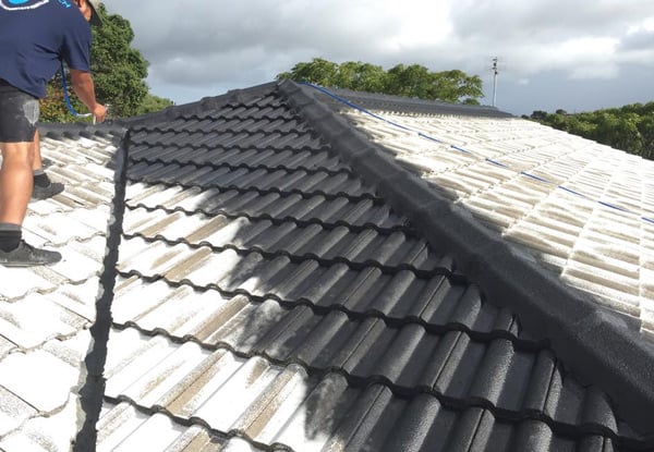 Roof Wash & Roof Paint - Options for up to 200m² Roof