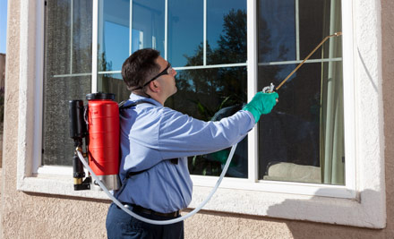 $99 for a Three-Bedroom Internal & External Fly & Spider Treatment - Options to incl. an Extra Room or Garage (value up to $280)
