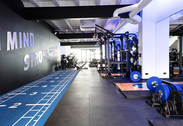 Four-Week Gym Membership at Iron Hood Fitness