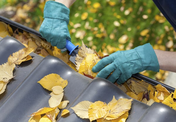 $75 for Two Hours of Home Maintenance Services