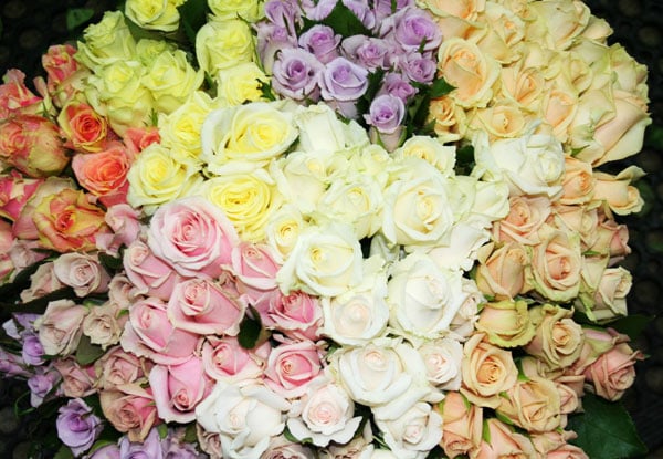 $10 for $20 Worth of Roses