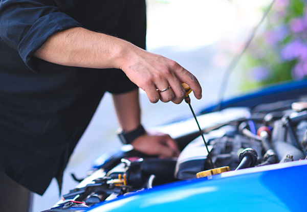 Royal Service By Oil Change Kings