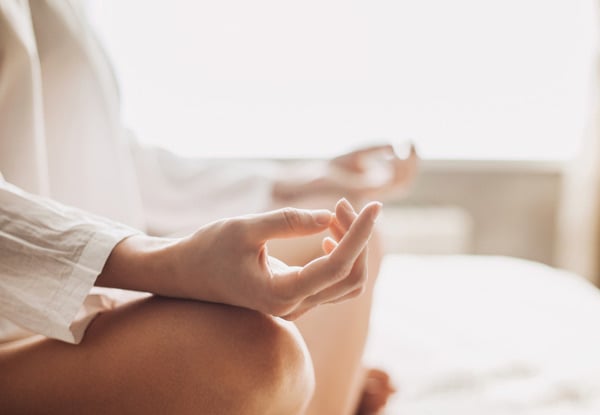 The Mindfulness Project