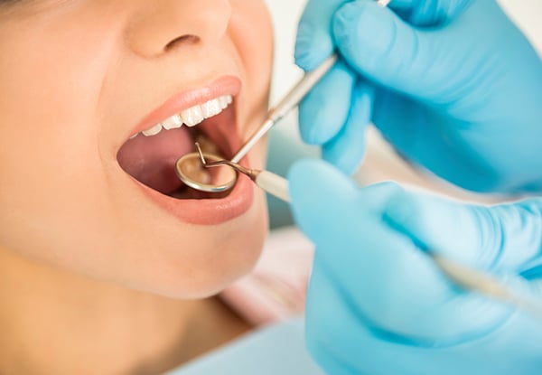 The Dentist East Tamaki Highbrook Ltd