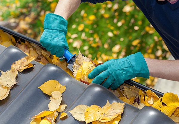 Gutter Clean & Debris Removal - Options for up to a Six-Bedroom Single Storey Home