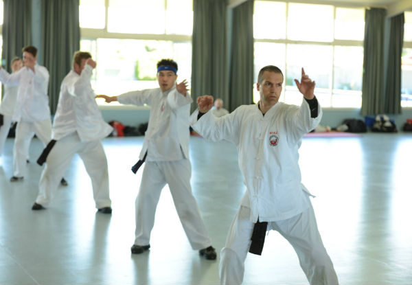 30-Day Kung Fu or Tai Chi Training Sessions - Available at 27 Locations Nationwide