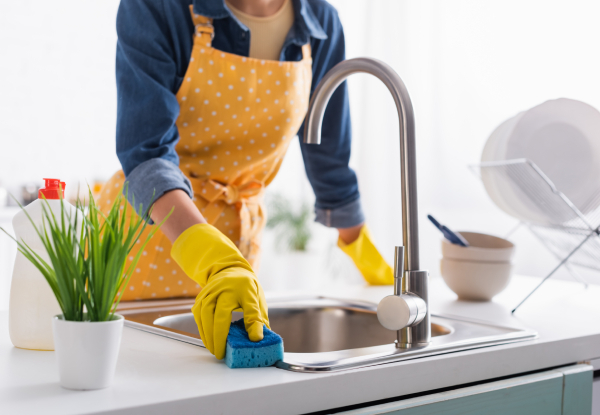 Easy Peasy Carpet Cleaning