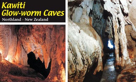 Waiomio Glowworm Caves