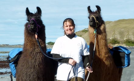 Kaikoura Llama Trekking